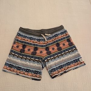 Chubbies Geometric Pattern Shorts - Blue and Tan